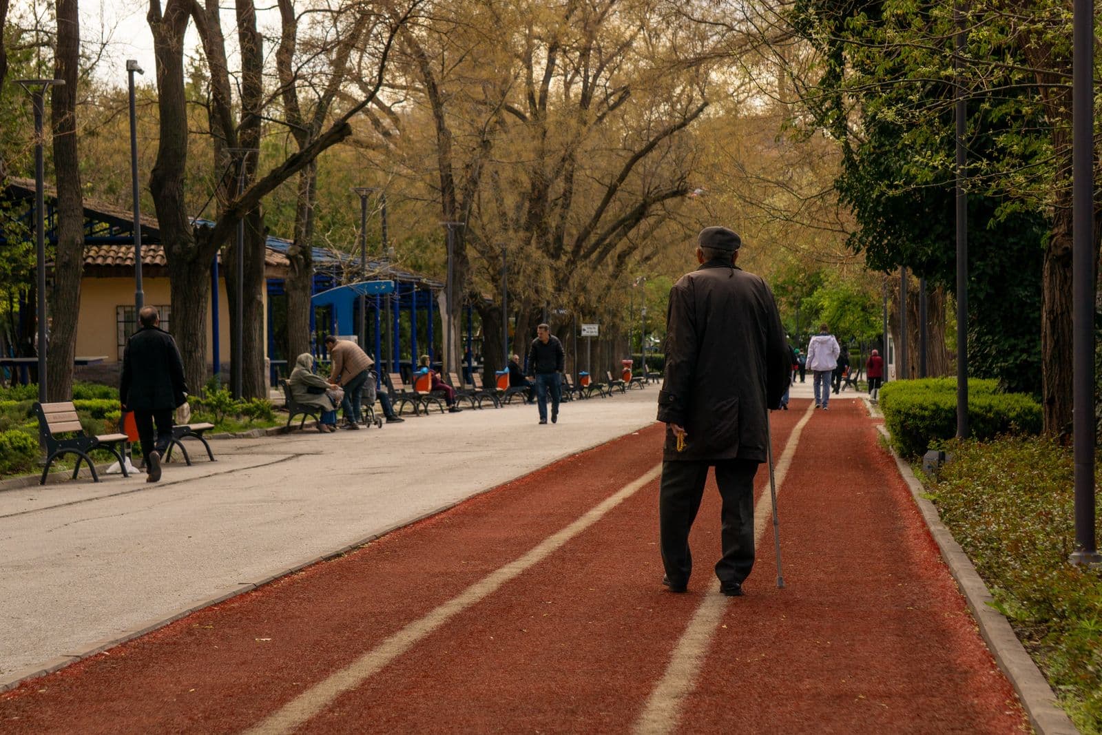 Une allée de parc bordée d'arbres, quelques promeneurs au loin