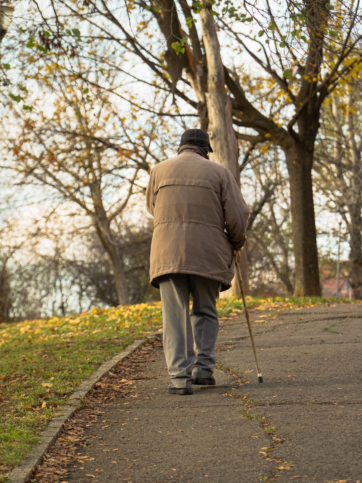 Un homme âgé, vu de dos, marche avec une canne dans une allée de parc en automne